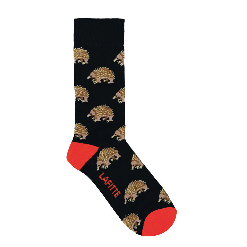 Echidna Sock