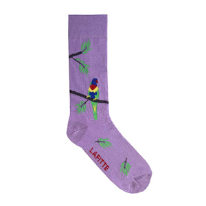 Rainbow Lorikeet Crew Socks. Purple cotton socks with rainbow lorikeet bird design
