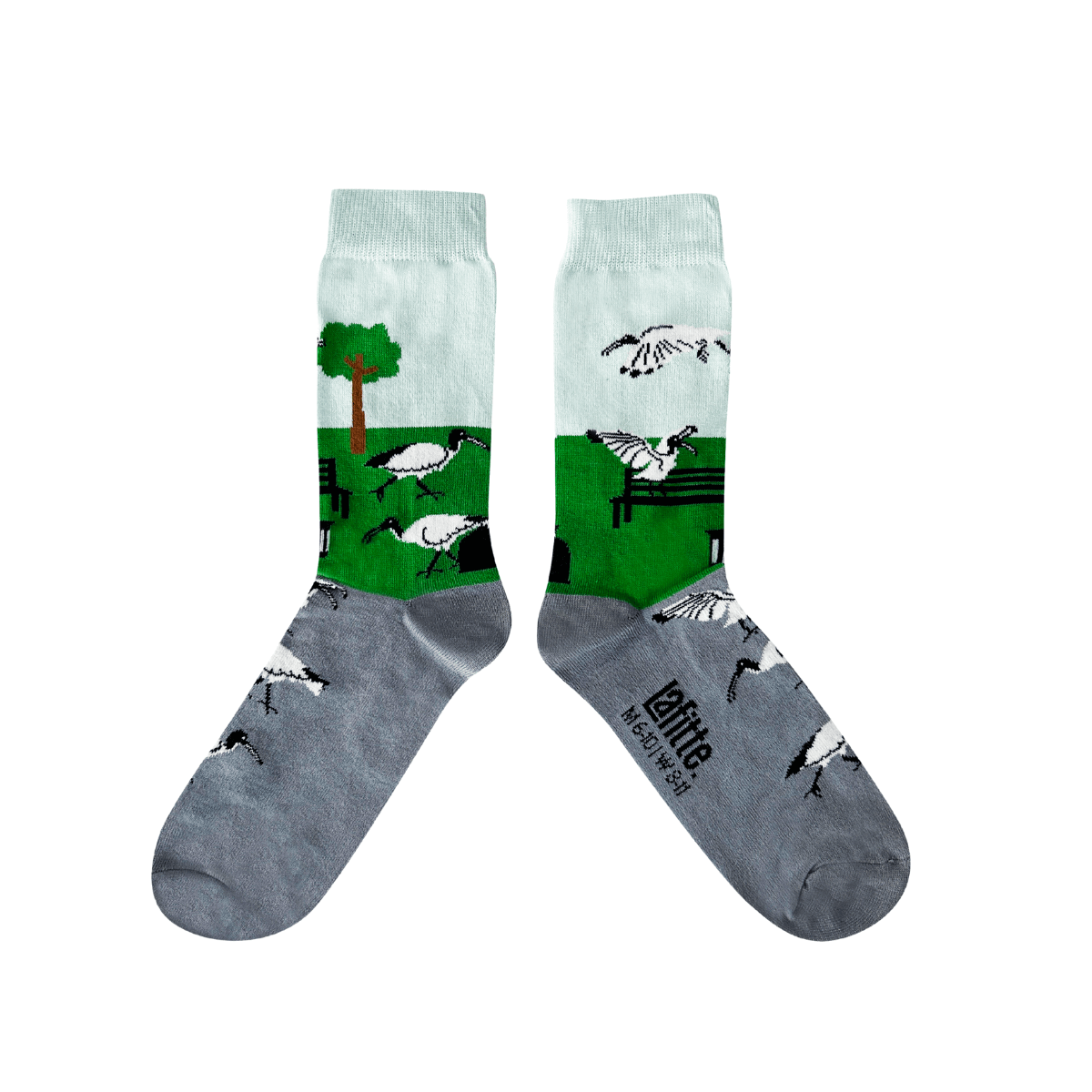 Ibis Crew Socks featuring a playful design inspired by Australian ibis in a park setting.